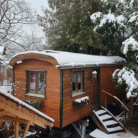 And Surrounded By Nature