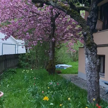 Lejlighed And Surrounded By Nature