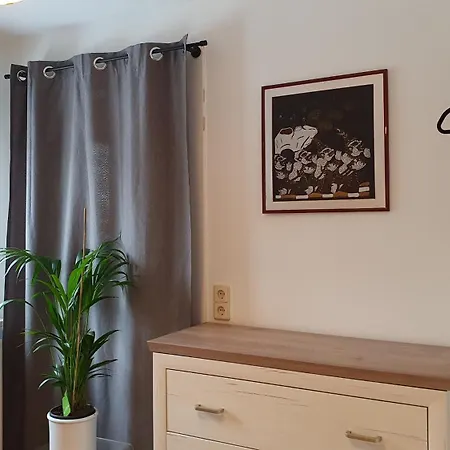 And Surrounded By Nature Apartment